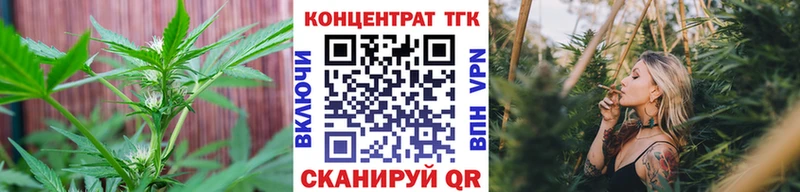 даркнет телеграм  Коряжма  ТГК вейп с тгк  закладка 