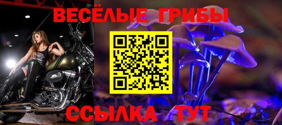 Псилоцибиновые грибы Cubensis Коряжма