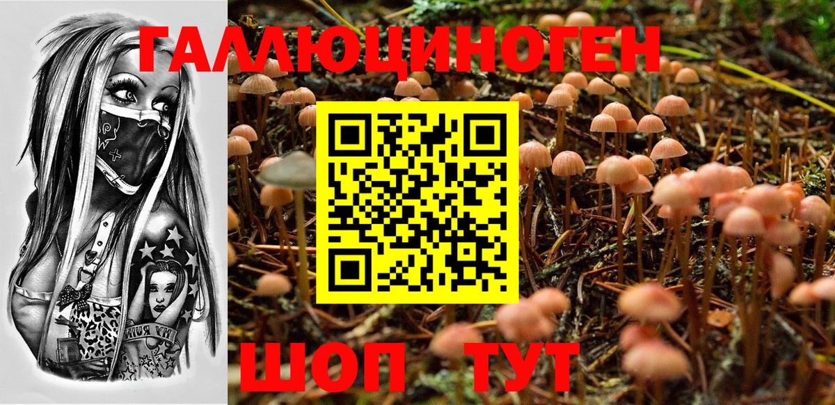 Галлюциногенные грибы мухоморы  Вход с VPN  наркота  Коряжма  Галлюциногенные грибы мицелий 